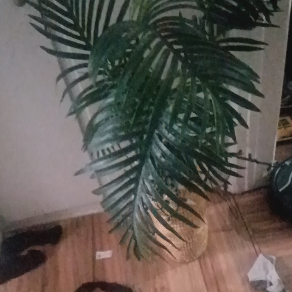 IKEA Festive String Lights - Green